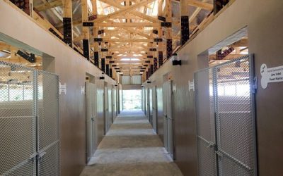 Animal welfare group in Seychelles gets upgraded facilities