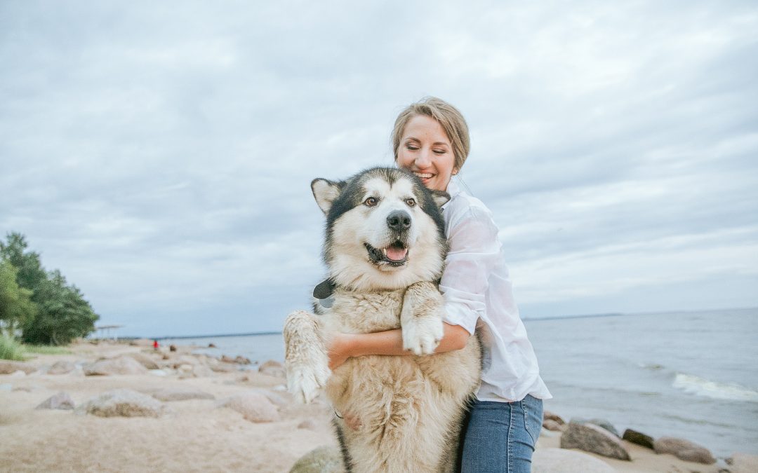 The benefits of pet exercise